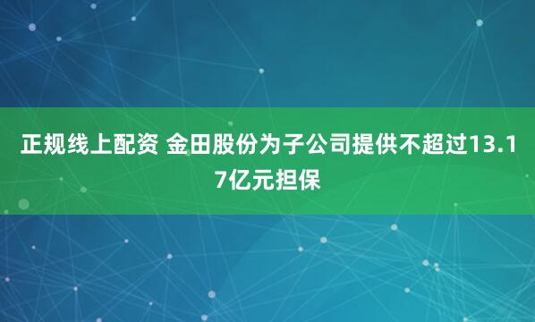 正规线上配资 金田股份为子公司提供不超过13.17亿元担保